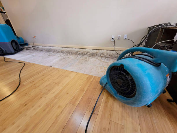 Professional Water Removal technician working in New Waterford, OH